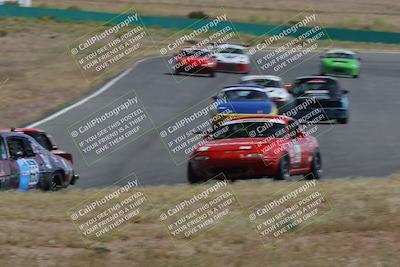 media/May-04-2024-Lucky Dog Racing (Sat) [[d39539b3f3]]/Race Pics/1015am (Turn 2)/